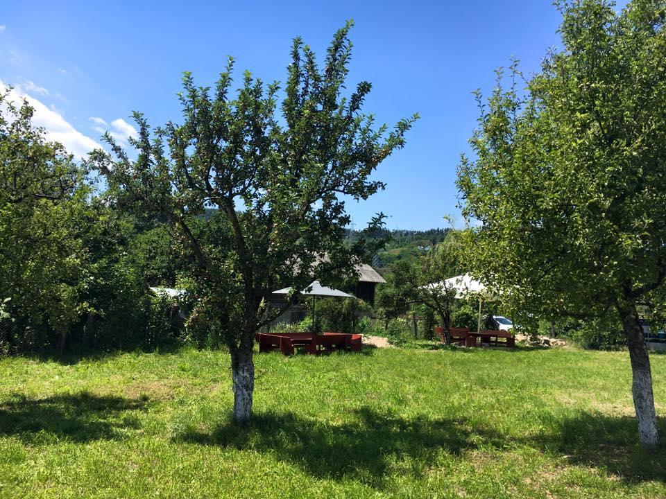 Livada Cu Meri 3* Căpăţîneni-Ungureni