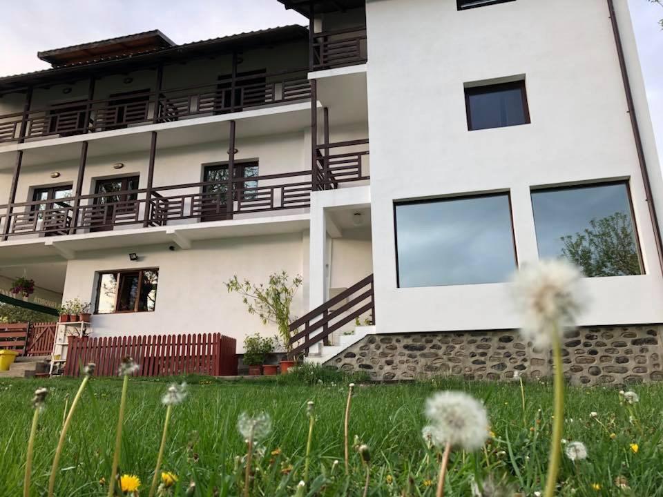 Livada Cu Meri Căpăţîneni-Ungureni